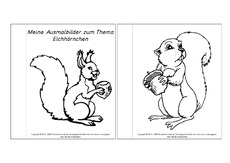 Mini-Buch-Ausmalbilder-Eichhörnchen-1-5.pdf